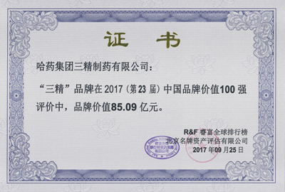 2017年三精品牌價(jià)值證書(shū)